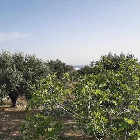 펜션 Villetta Parc D'uglia 레우카